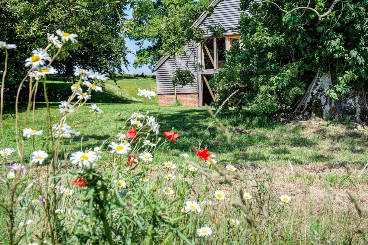 Bed and Breakfast South Park Farm Barn Andover Exterior foto